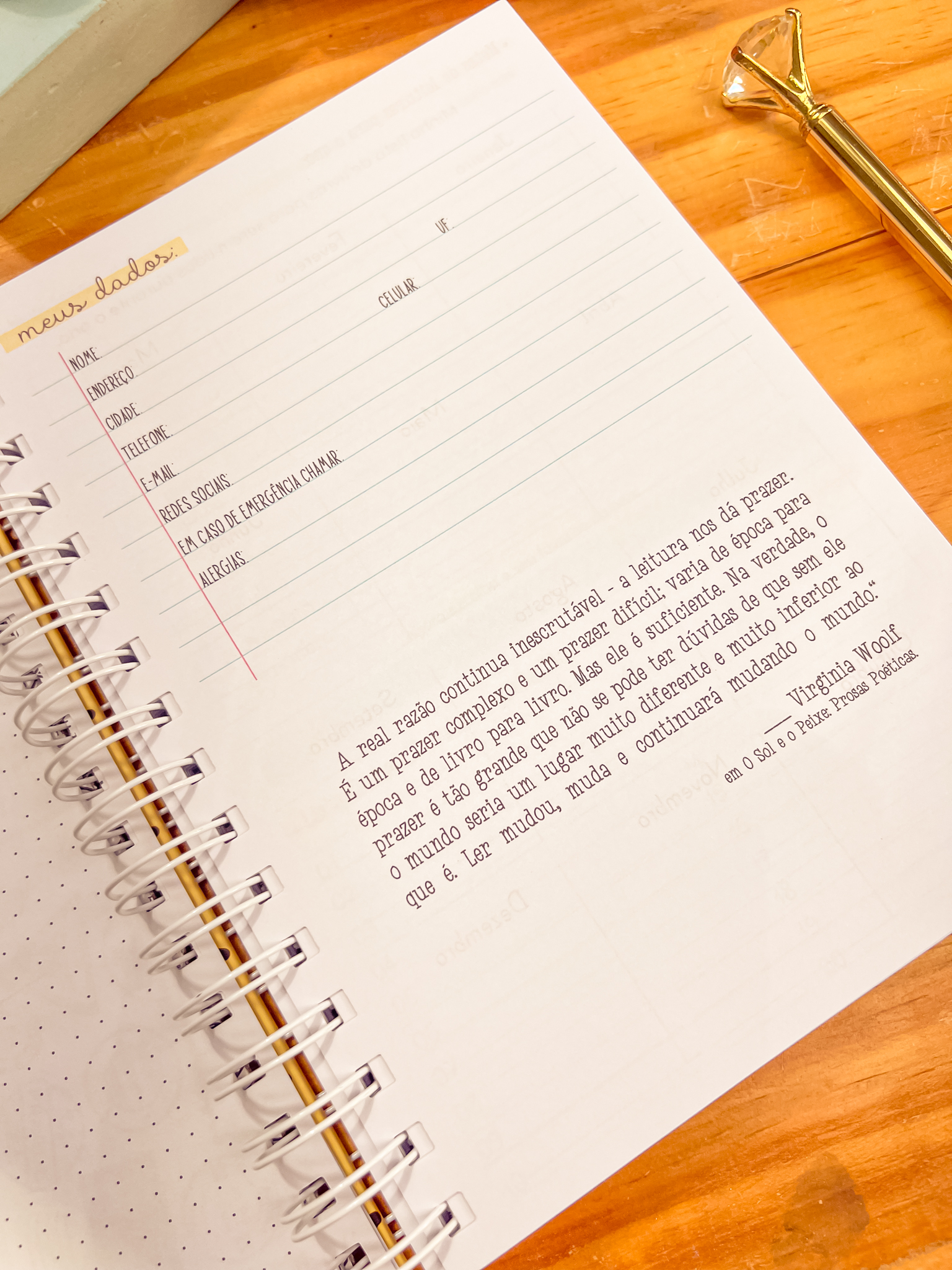 Caderno de Leitura – Organize e registre suas leituras - Imagem 8